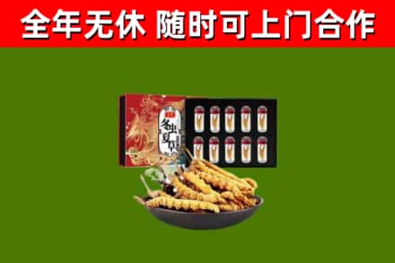 榕城区烟酒回收冬虫夏草礼盒.jpg